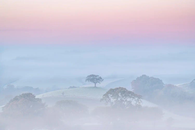 Break Of Day by Adam Burton wall art