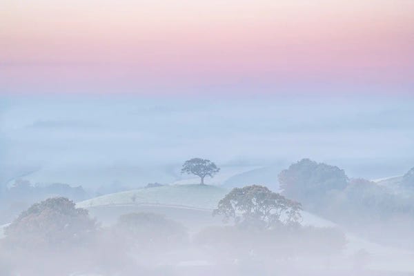 Adam Burton: Break Of Day by Adam Burton