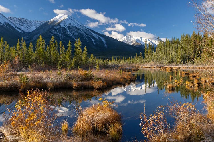 Vermillion Lakes by Adam Burton wall art
