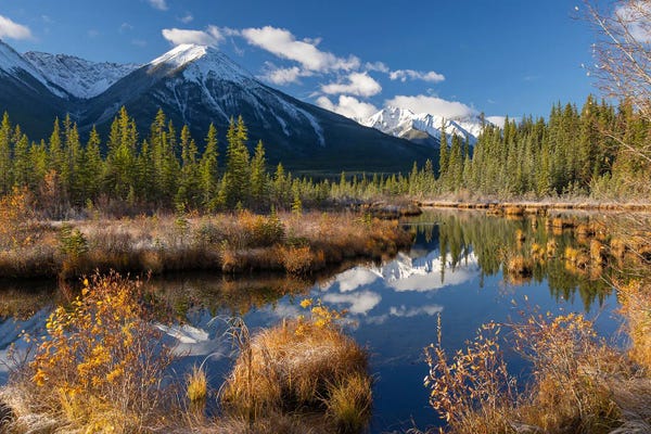 Lakes: Vermillion Lakes by Adam Burton