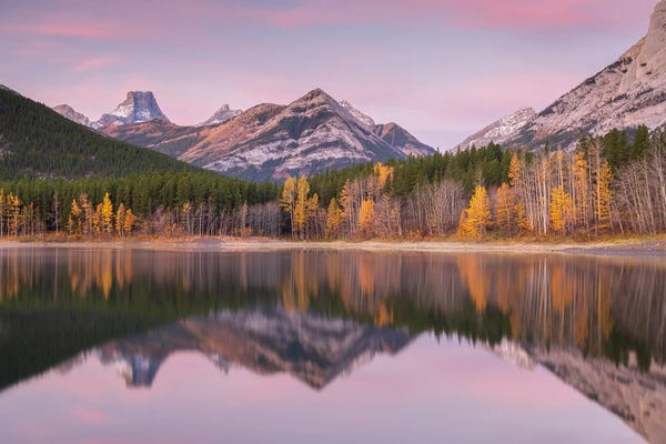 Adam Burton: Dawn Reflections by Adam Burton