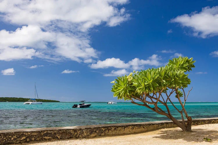 Mauritius Memories by Adam Burton wall art