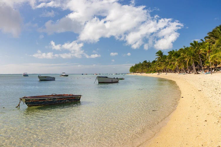 Tropical Bay by Adam Burton wall art