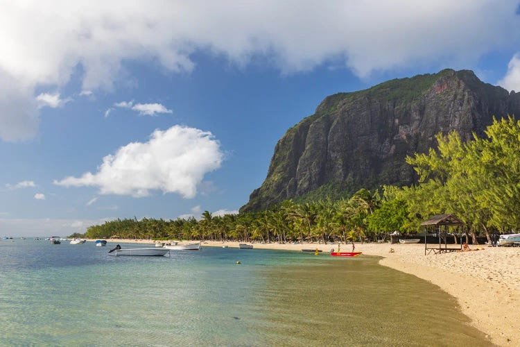 Tropical Shores by Adam Burton wall art