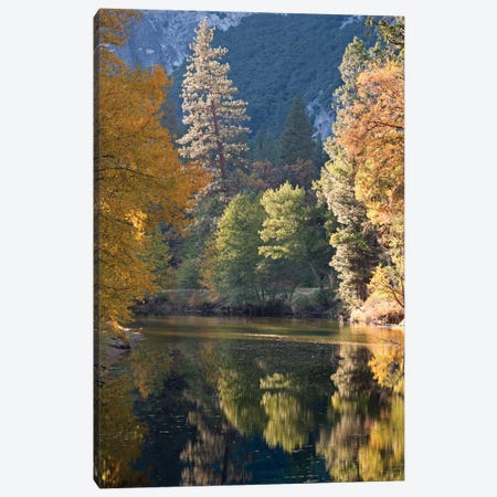 Golden Yosemite Canvas Print #ABU20} by Adam Burton Art Print