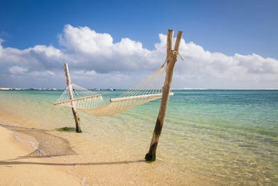 Totally Tropical by Adam Burton multi panel art