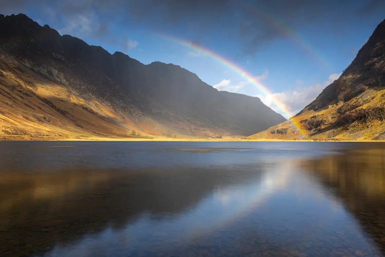 Pots Of Gold by Adam Burton wall art
