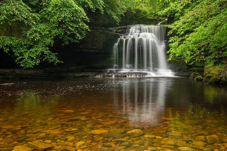 A Secret Place by Adam Burton wall art