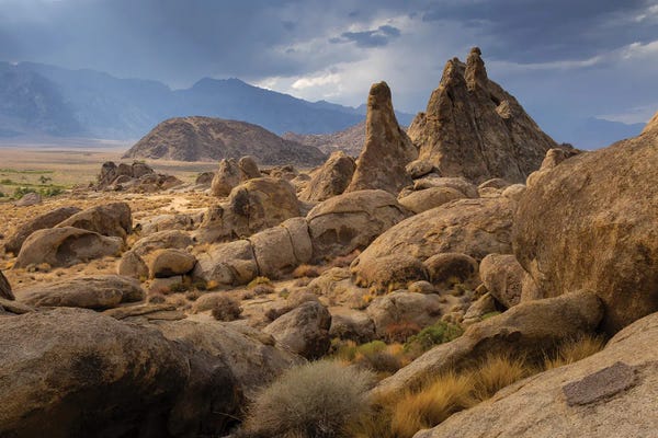 Adam Burton: Alabama Hills by Adam Burton