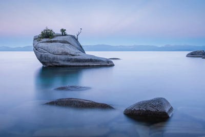 Canvas Print: Lake Tahoe Pinks by Adam Burton - thumbnail