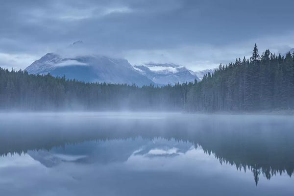 Banff National Park: Herbert Lake I by Adam Burton