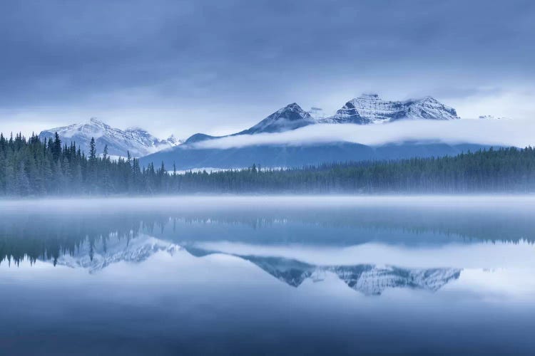Herbert Lake II
