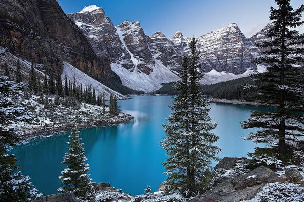 Large Floral & Botanical Art - Canvas Prints: Jewel of the Rockies by Adam Burton