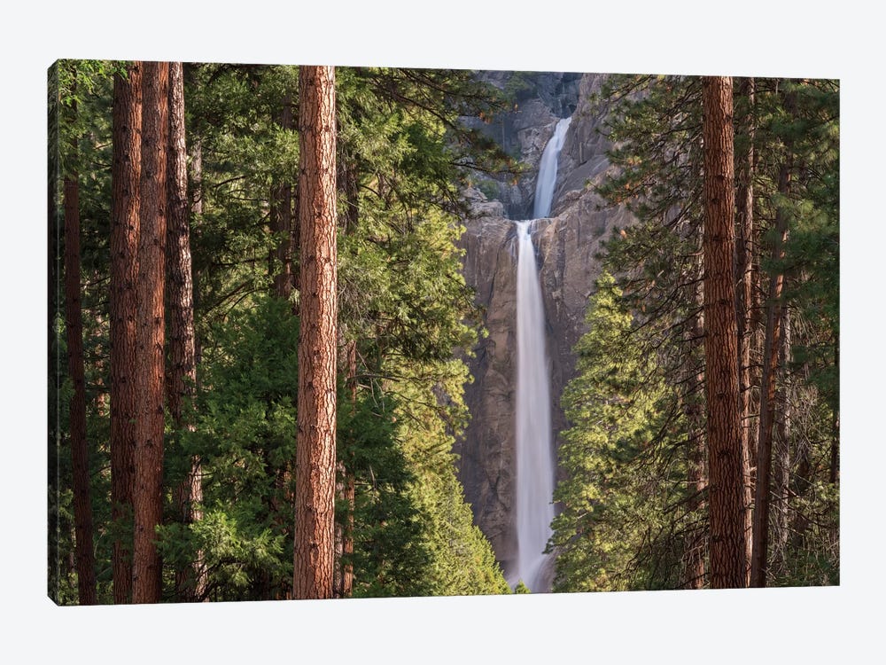 Lower Yosemite Falls by Adam Burton 1-piece Canvas Print