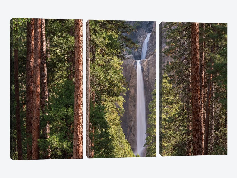 Lower Yosemite Falls by Adam Burton 3-piece Art Print