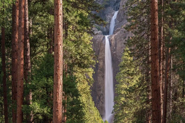 Adam Burton: Lower Yosemite Falls by Adam Burton