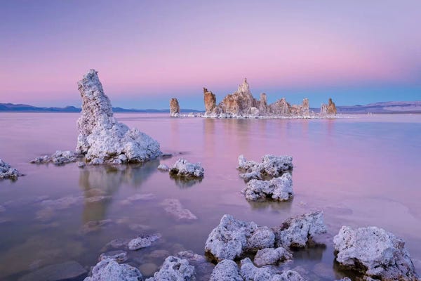 Mono Pinks