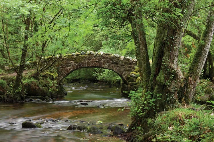 A Secret Crossing by Adam Burton wall art
