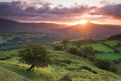 Sugarloaf Sunrise by Adam Burton acrylic art print