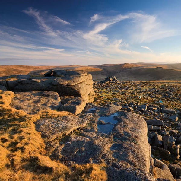 Adam Burton: The Golden Hour by Adam Burton