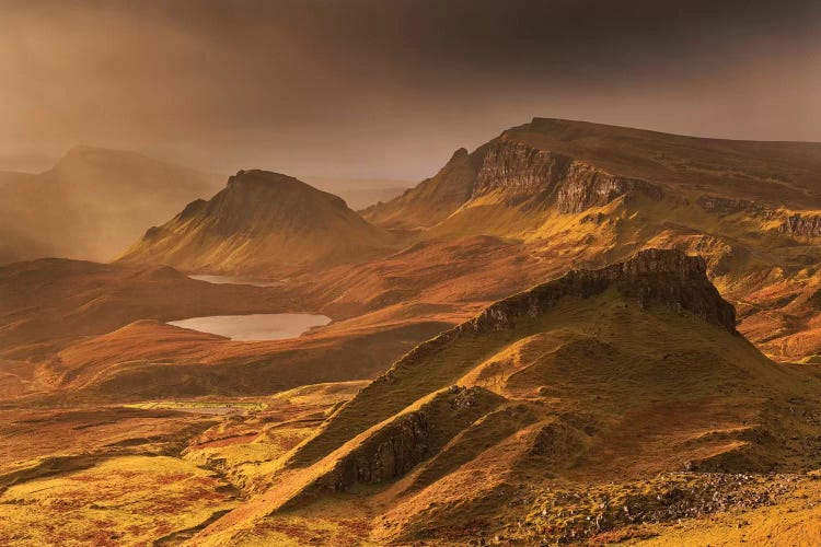 The Light Fantastic by Adam Burton wall art