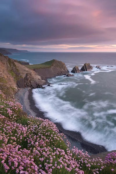 Coastlines: The Pink Coast by Adam Burton