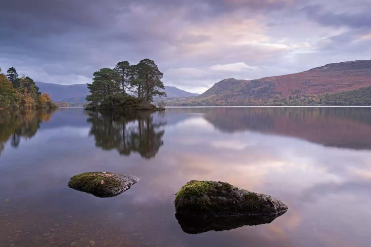 Tranquil Morning