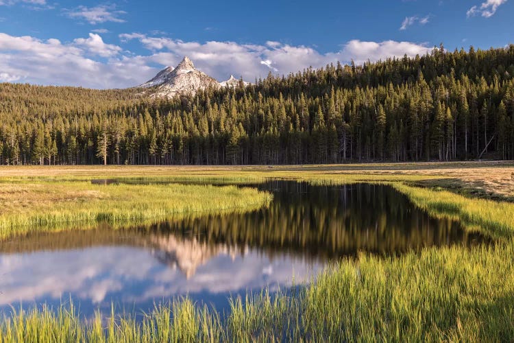 Tuolumne Meadows