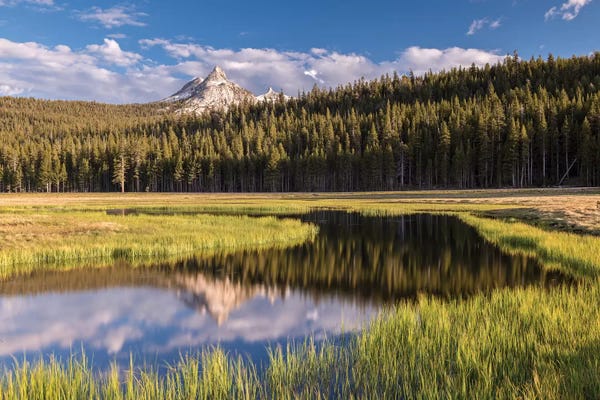 Tuolumne Meadows