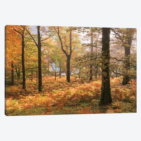 Colours Of Autumn Canvas Print #ABU68} by Adam Burton Canvas Print