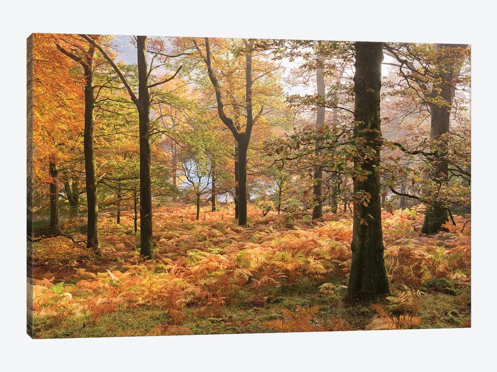 Colours Of Autumn by Adam Burton 1-piece Canvas Art Print