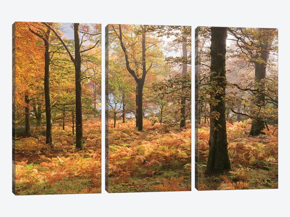 Colours Of Autumn by Adam Burton 3-piece Art Print