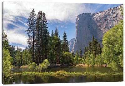 El Capitan From The Merced Canvas Art Print - Yosemite National Park Art