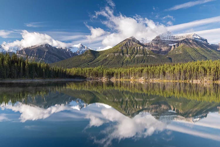 Herbert Lake Reflections by Adam Burton wall art