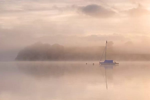 Mist & Fog: Perfect Solitude by Adam Burton