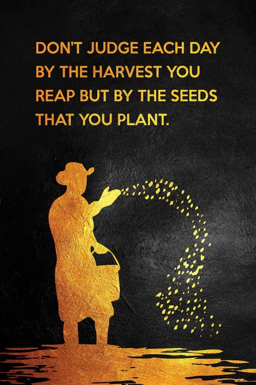 Just Sow The Seeds