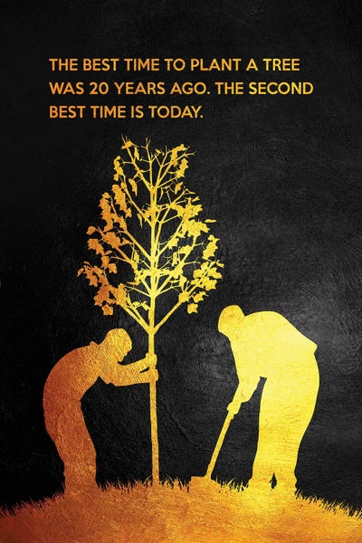 Chinese Proverb by Adrian Baldovino framed canvas print