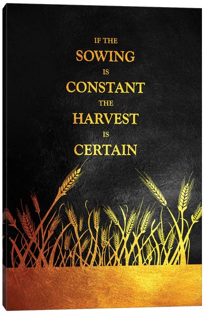 Constant Sowing Certain Harvest Canvas Art Print - Minimalist Quotes