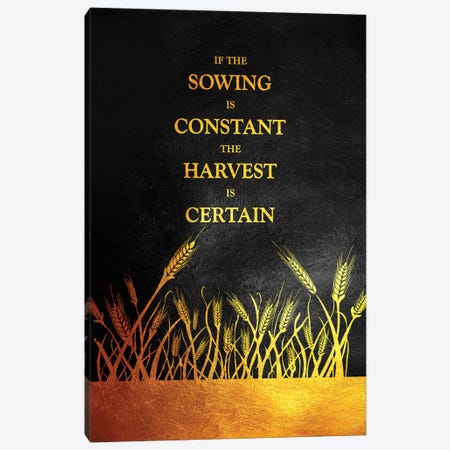 Constant Sowing Certain Harvest Canvas Print #ABV1021} by Adrian Baldovino Art Print