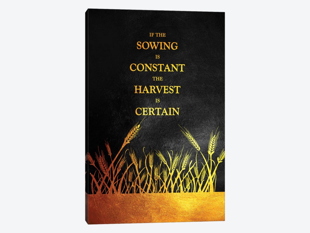 Constant Sowing Certain Harvest by Adrian Baldovino 1-piece Canvas Wall Art