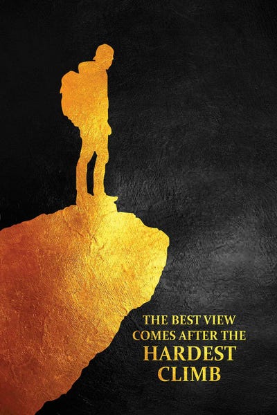 The Best View by Adrian Baldovino art print