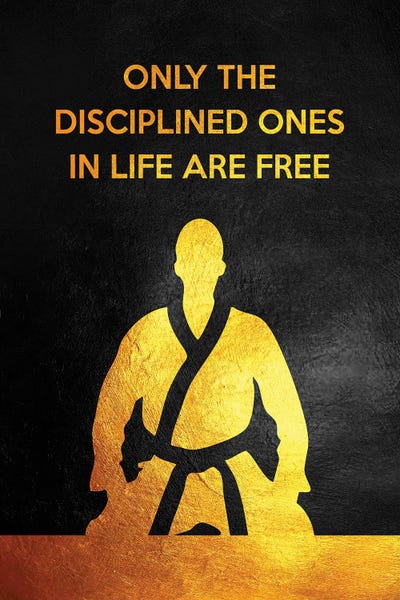 Discipline Is Freedom by Adrian Baldovino metal wall art