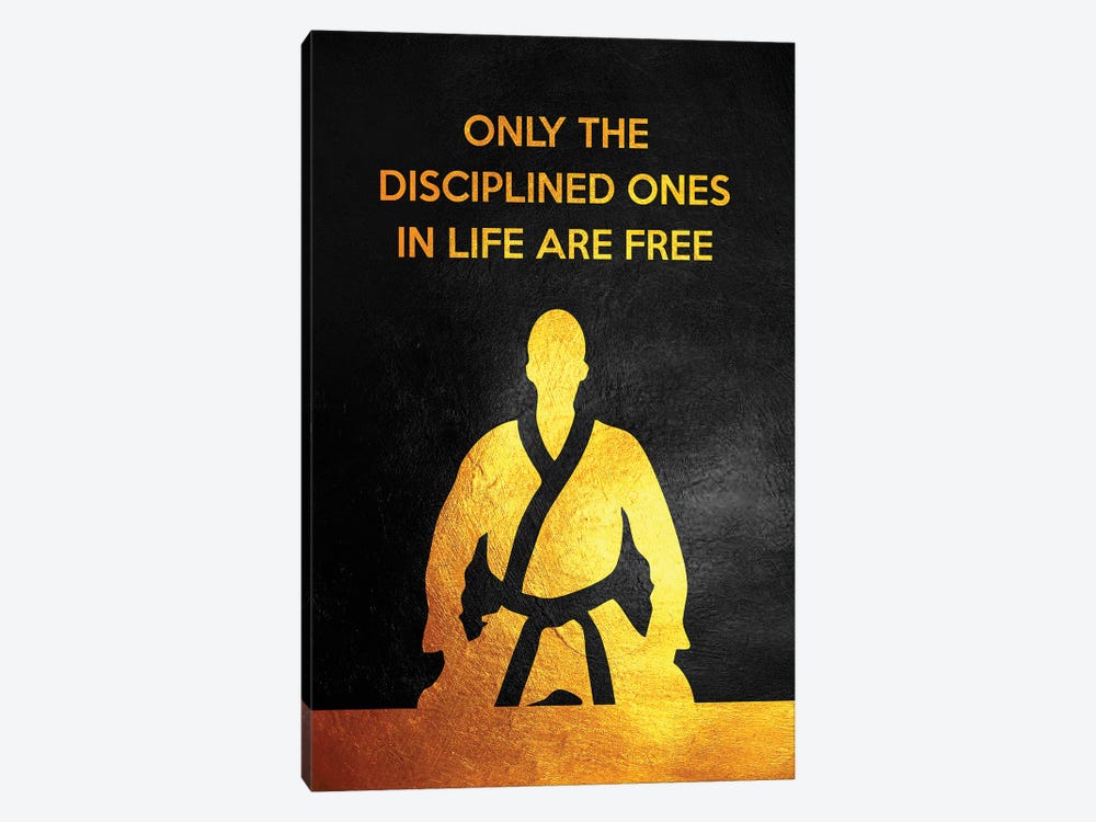 Discipline Is Freedom by Adrian Baldovino 1-piece Canvas Wall Art