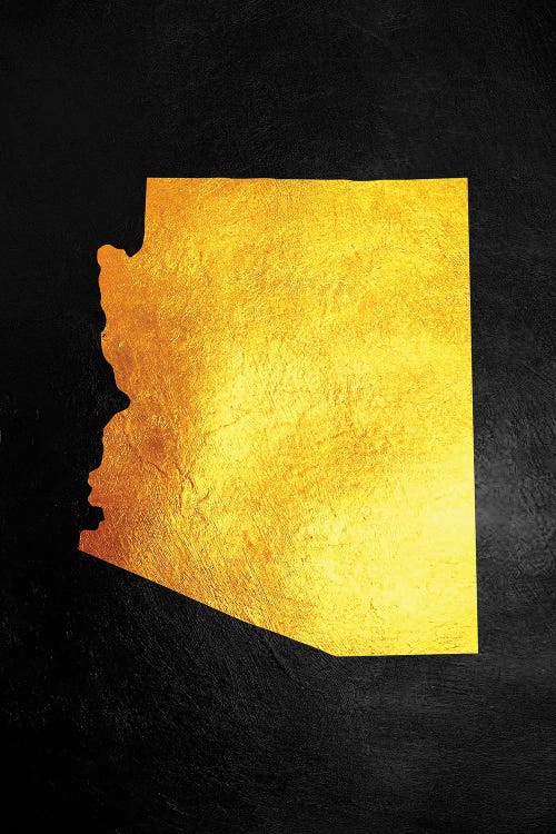 Arizona Gold Map by Adrian Baldovino wall art