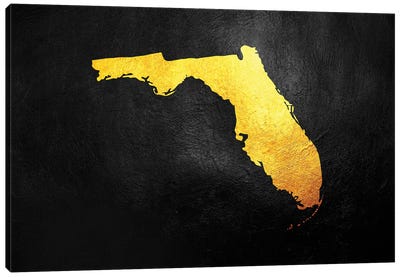 Florida Gold Map Canvas Art Print - State Maps