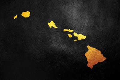 Hawaii Gold Map by Adrian Baldovino canvas print