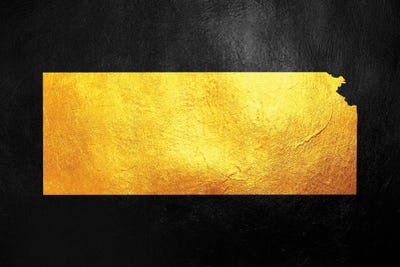 Kansas Gold Map by Adrian Baldovino art print
