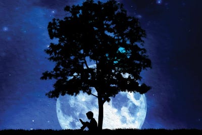 Truth Seeker by Adrian Baldovino canvas print