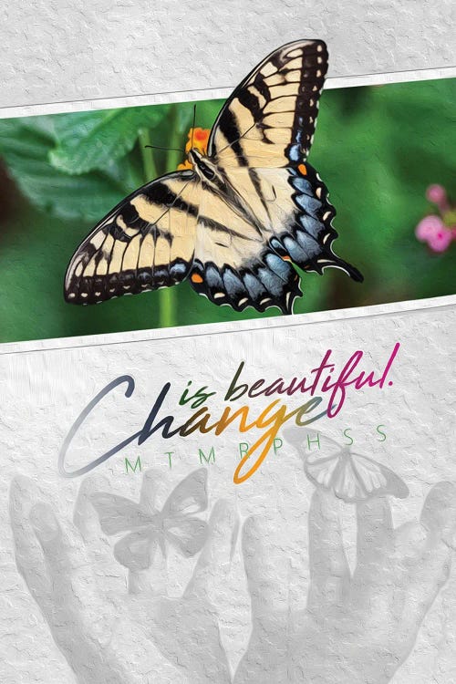 Change Is Beautiful Butterfly by Adrian Baldovino wall art