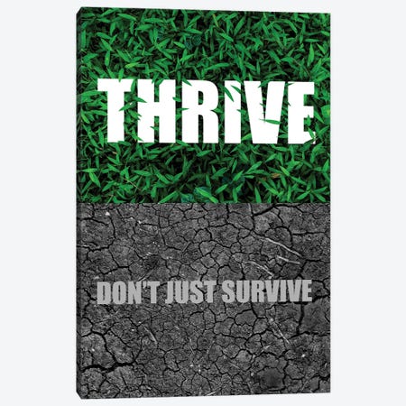 Thrive Don't Just Survive Canvas Print #ABV1121} by Adrian Baldovino Canvas Art